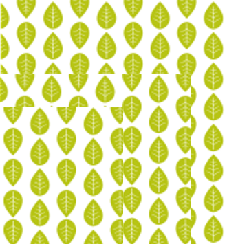 wra014334 SML vegetal decor 1