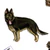 pets-bruno_50x50