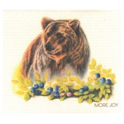 Blauwe bessen beer