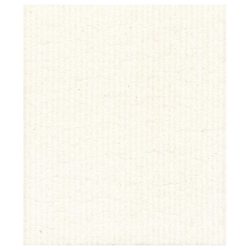 Witte vaatdoek