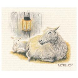 Schapen